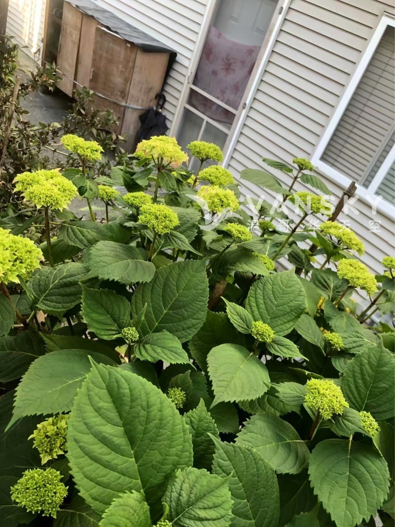 250619164810_Weixin Image_20250603194705.jpg